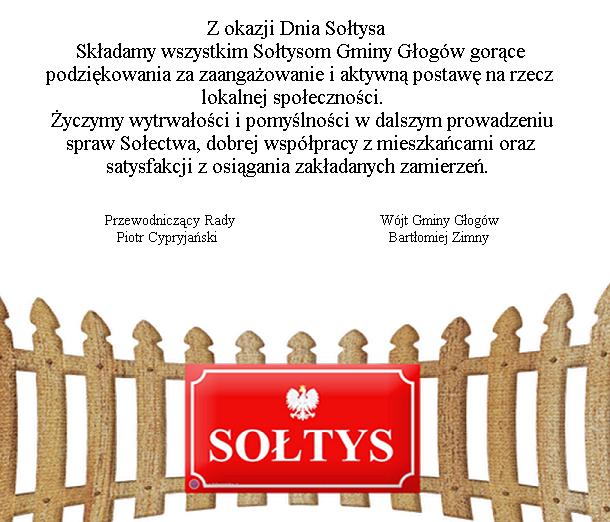 soltys